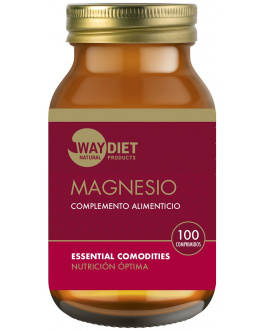 Magnesio 100 comprimidos Waydiet