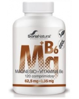 Magnesio+Vit B6 Liberacion Sostenida 1550Mg 120Com