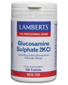 Sulfato De Glucosamina 120Comp.