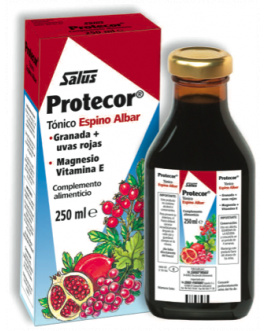 Protecor Jarabe – Salus – 250 ml
