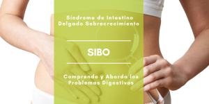Lee más sobre el artículo SIBO (Síndrome de Intestino Delgado Sobrecrecimiento) – Comprende y Aborda los Problemas Digestivos