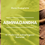 Banner Ashwagandha-El Poderoso Adaptógeno Natural