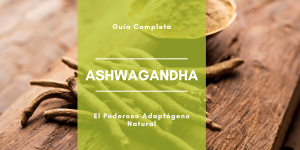 Lee más sobre el artículo Ashwagandha: El Poderoso Adaptógeno Natural